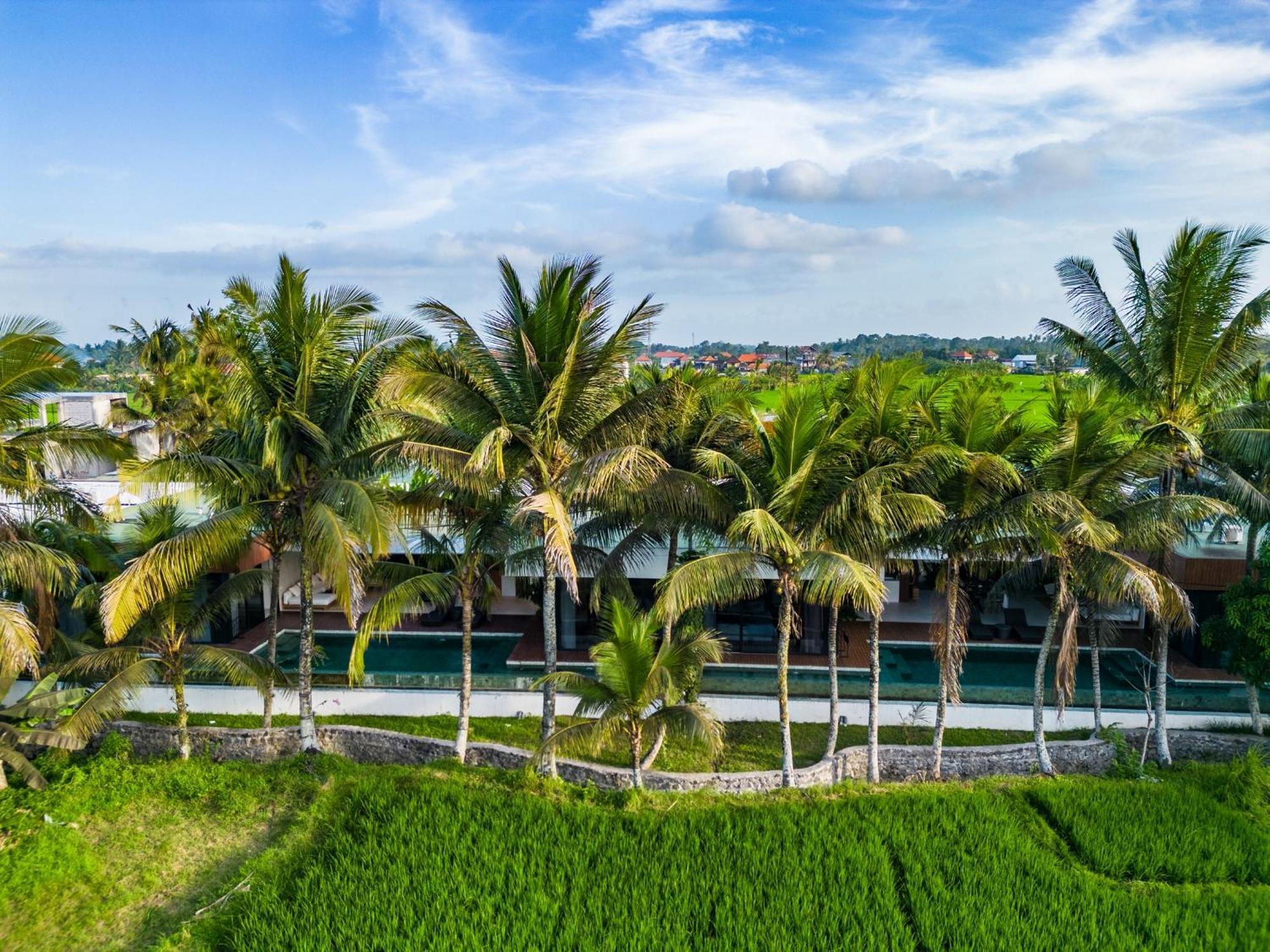 Green Flow Ubud Villa 20 Luaran gambar